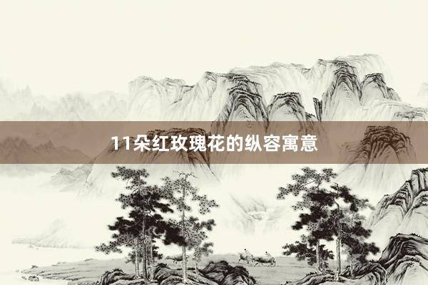 11朵红玫瑰花的纵容寓意