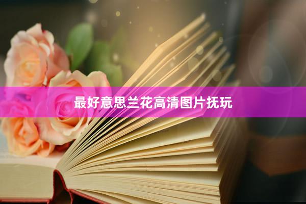 最好意思兰花高清图片抚玩