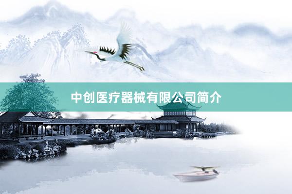 中创医疗器械有限公司简介